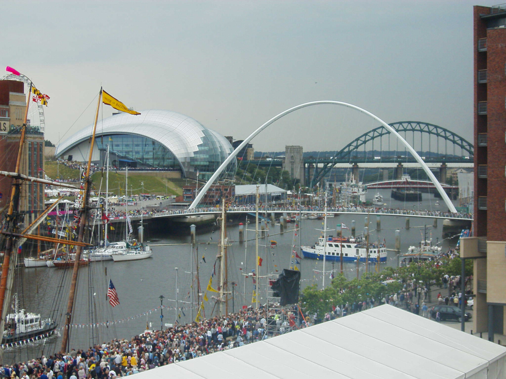 Newcastle . Newcastle .