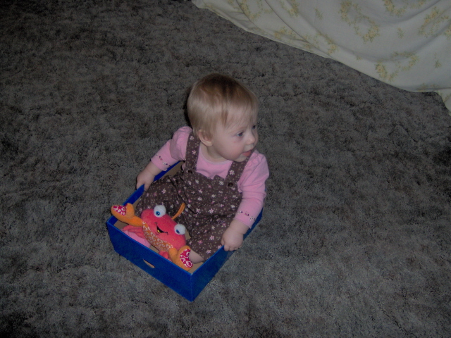 Another use for an old shoebox :) Another use for an old shoebox :)