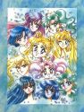 A collage of the Inner and Outer soldiers from the Bishojo Senshi Sailor Moon manga.